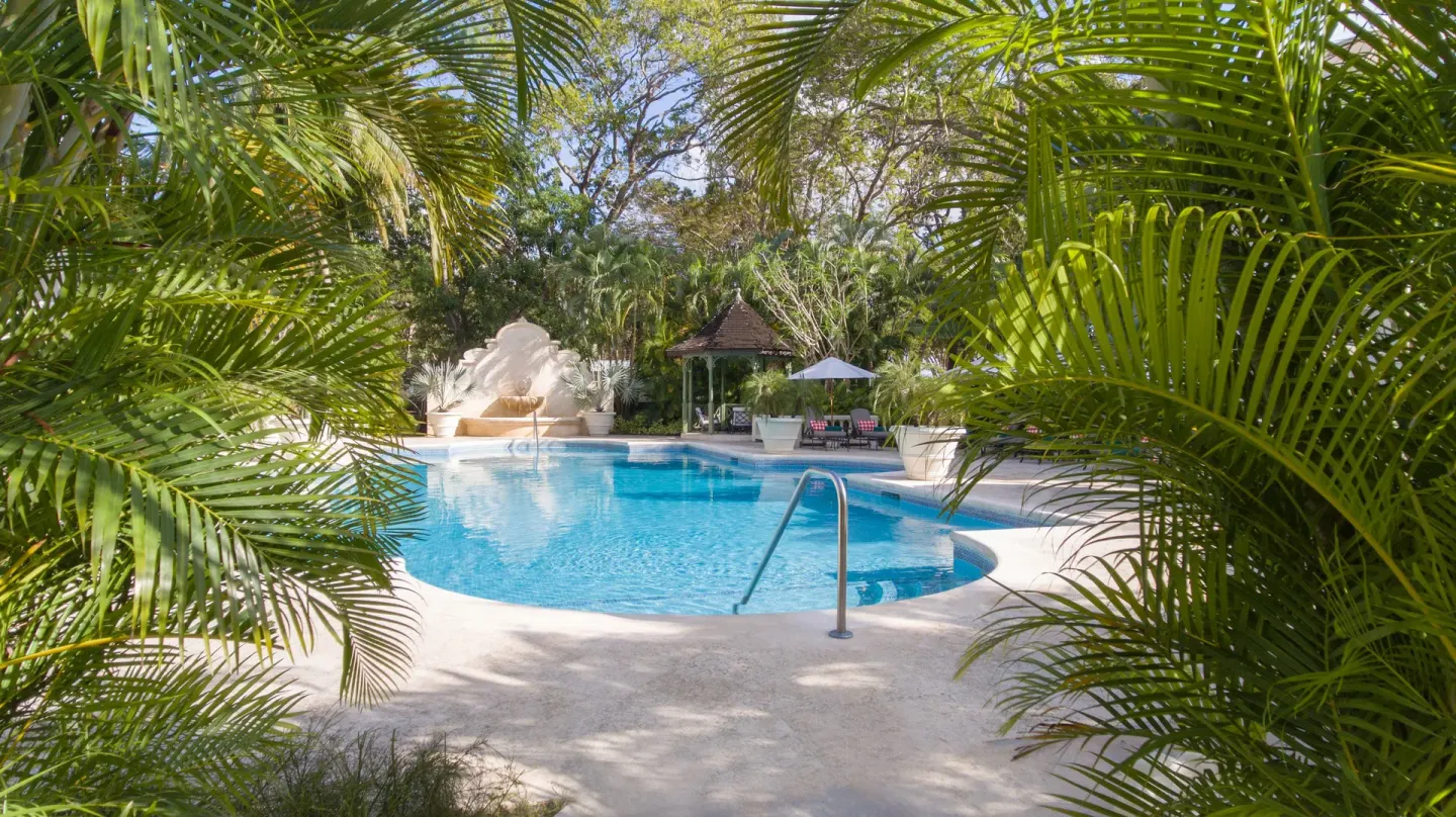 Swimming pool framed by palm fronds and tropical gardens at Coral Reef Club.
