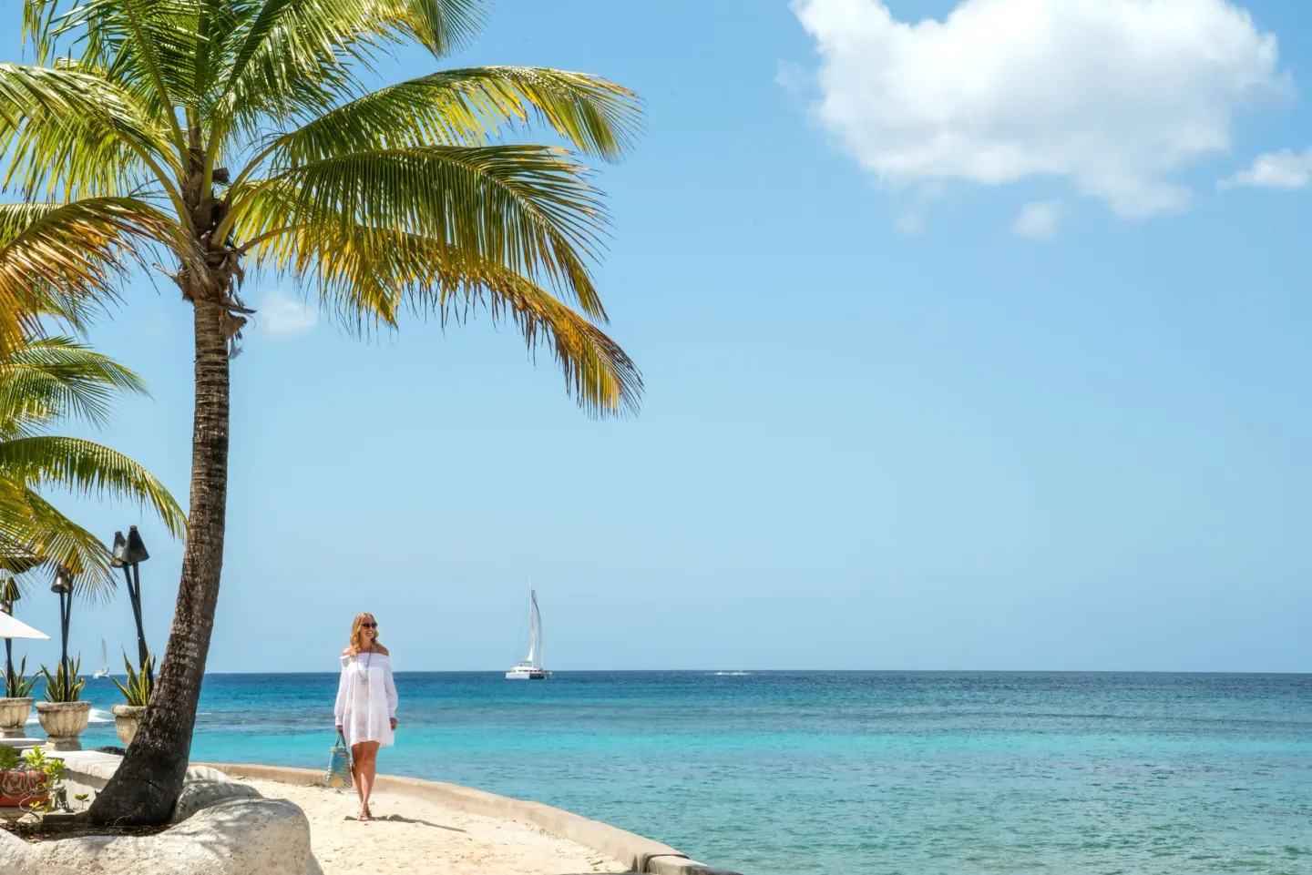 A palm tree, beach, and sailboat on the water at Coral Reef Club.