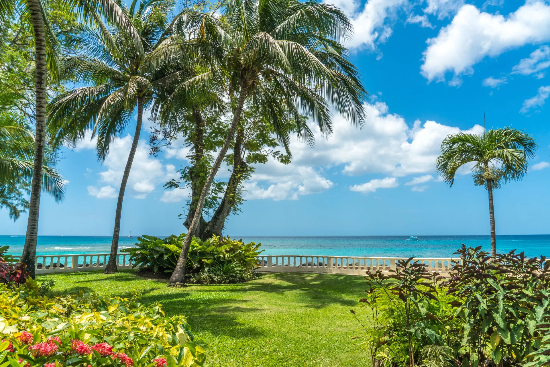 Palm-lined lawn and turquoise sea at Coral Reef Club.