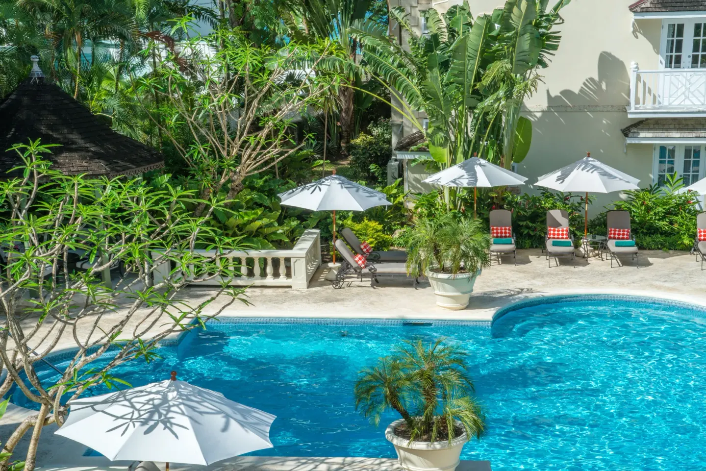 Pool terrace with white umbrellas, loungers, and lush planting at Coral Reef Club.