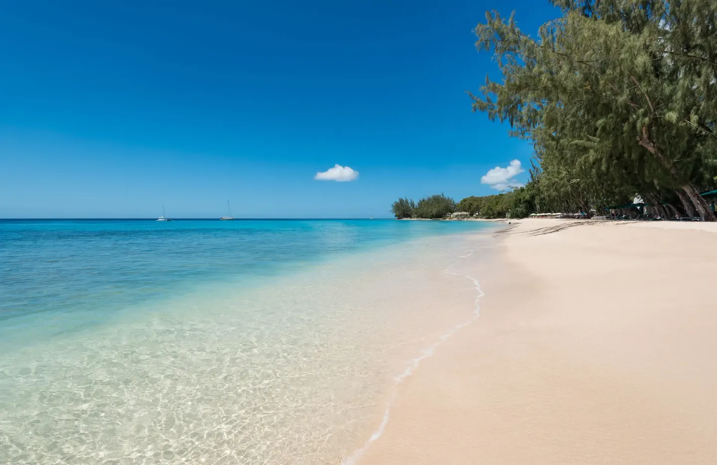 A quiet sandy beach and turquoise water at Coral Reef Club.