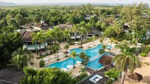 Aerial view of the main pool and palm-filled grounds at Couples Negril.