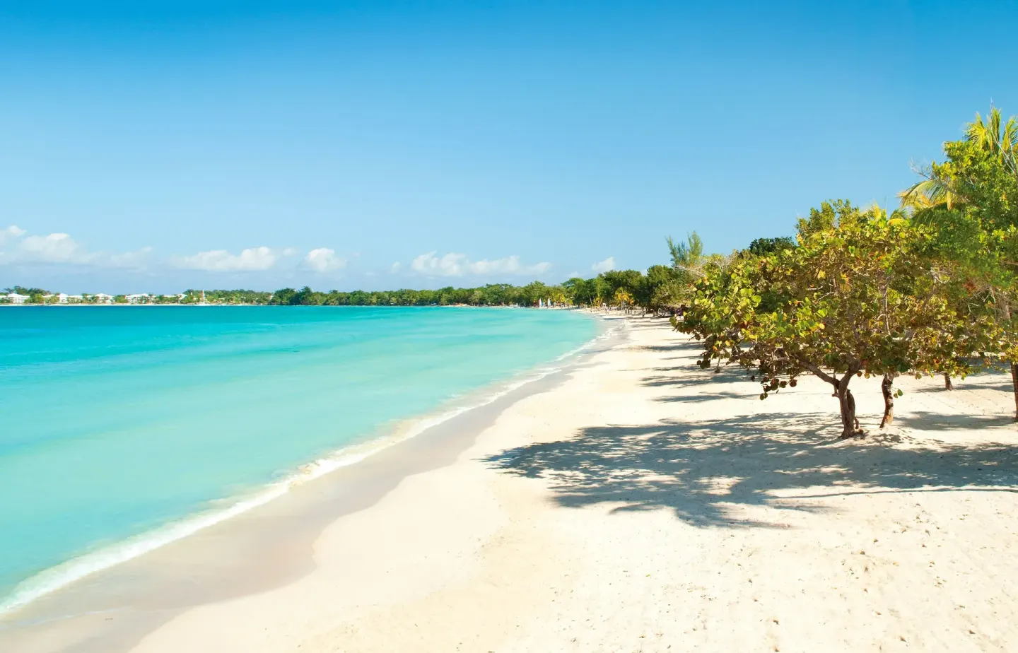 Wide sandy beach with turquoise water and trees at Couples Negril.