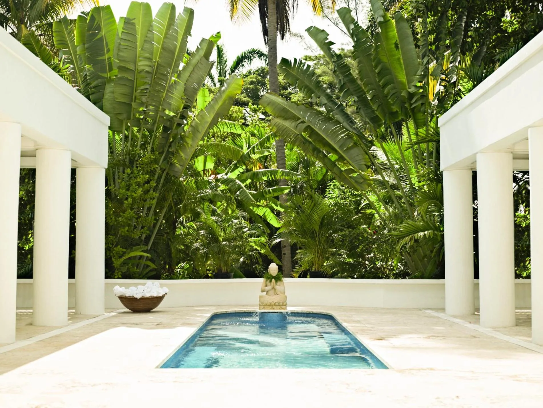 Small spa pool surrounded by tropical greenery at Couples Tower Isle.