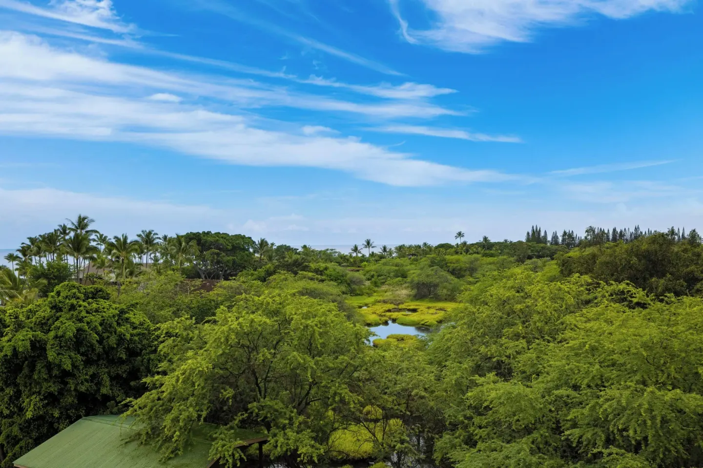 Balcony resort view of trees and distant ocean at Courtyard King Kamehameha's Kona Beach Hotel.