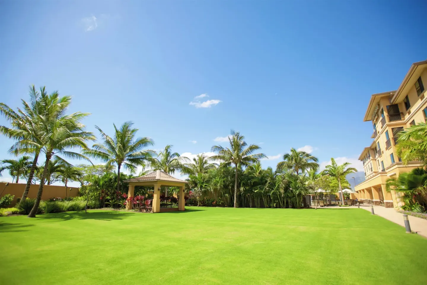 Tropical lawn with palm trees and hotel building at Courtyard Maui Kahului Airport.