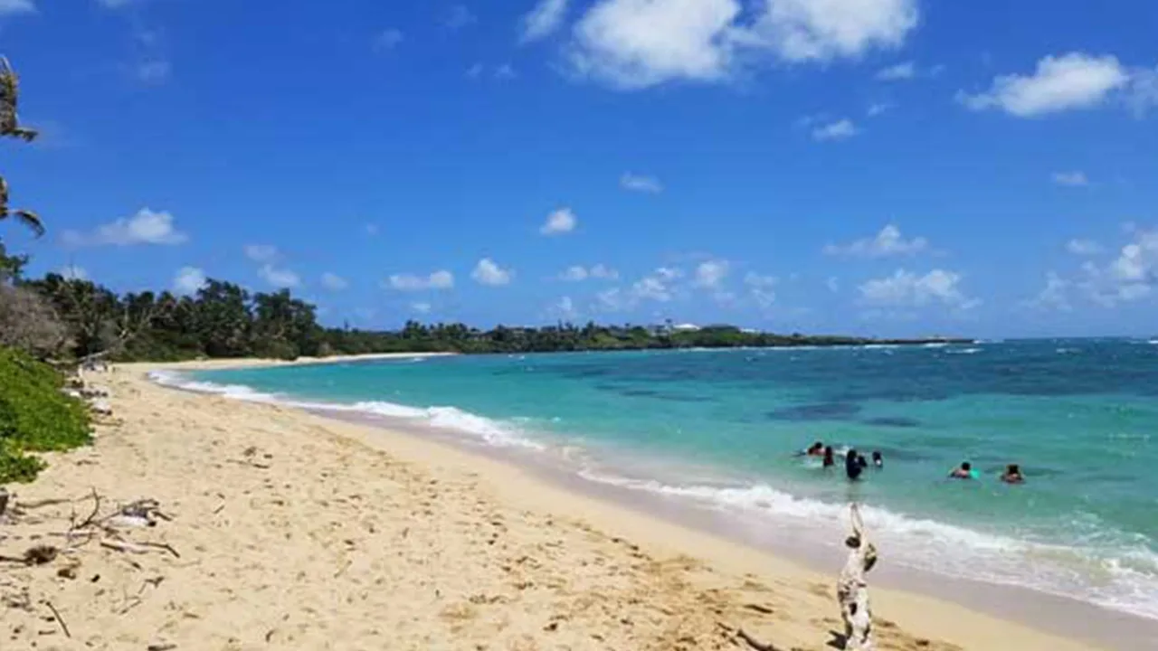 Clissolds Beach 5 Min Walk