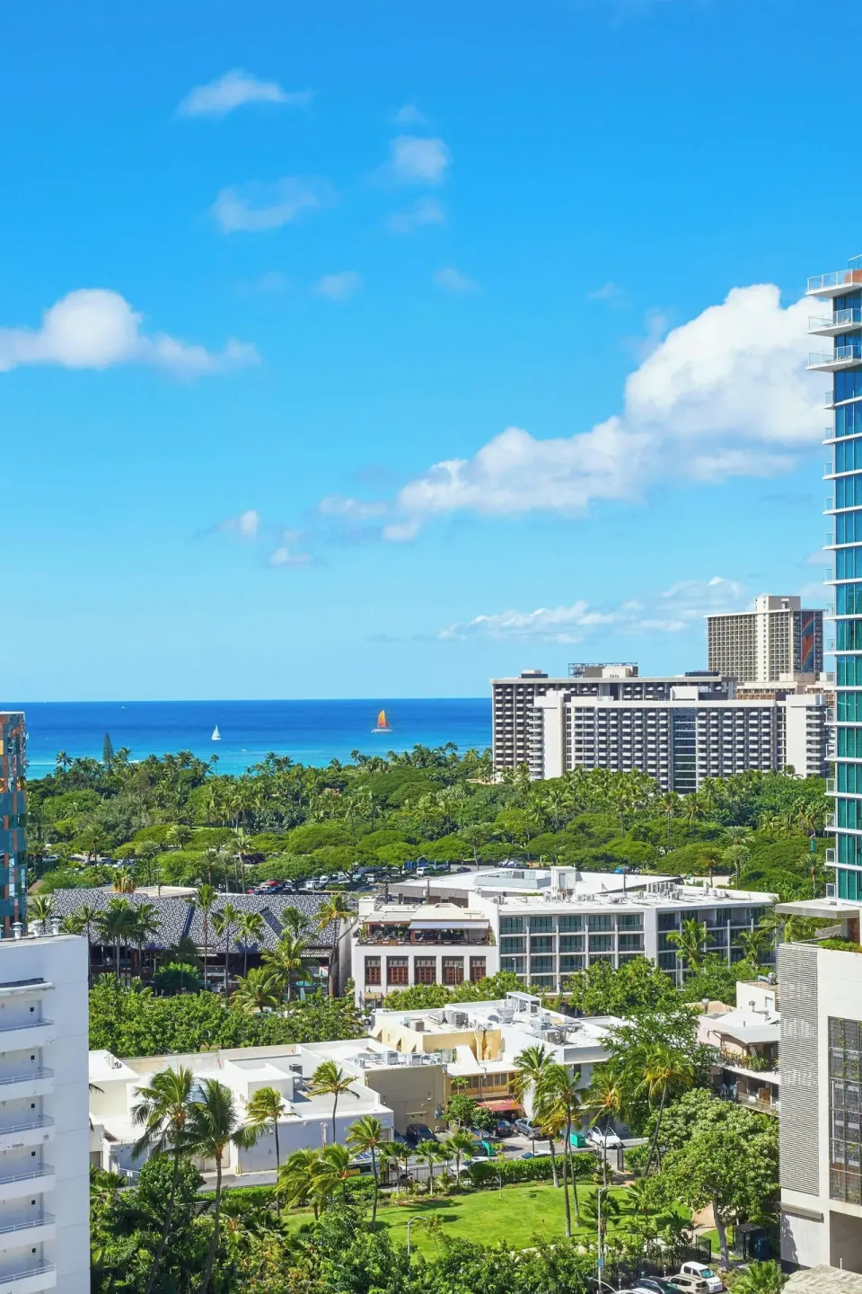 Ocean and Waikiki skyline view from Courtyard Waikiki Beach with palms and high-rises.