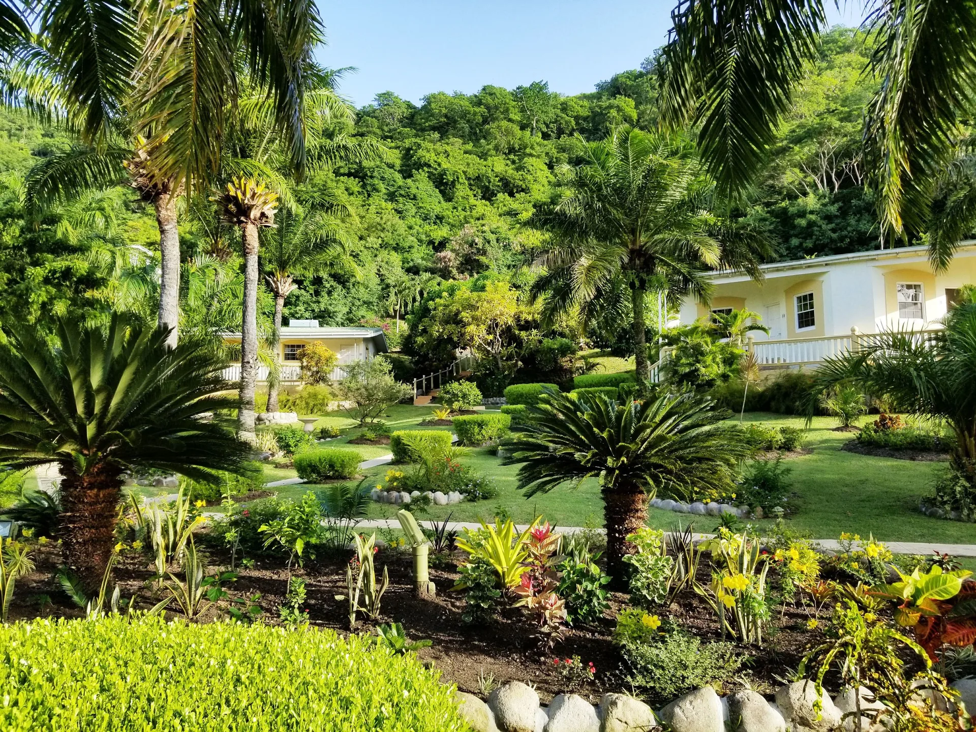 Blue Horizons Garden Resort tropical garden hotel near Grand Anse Beach with relaxed suites