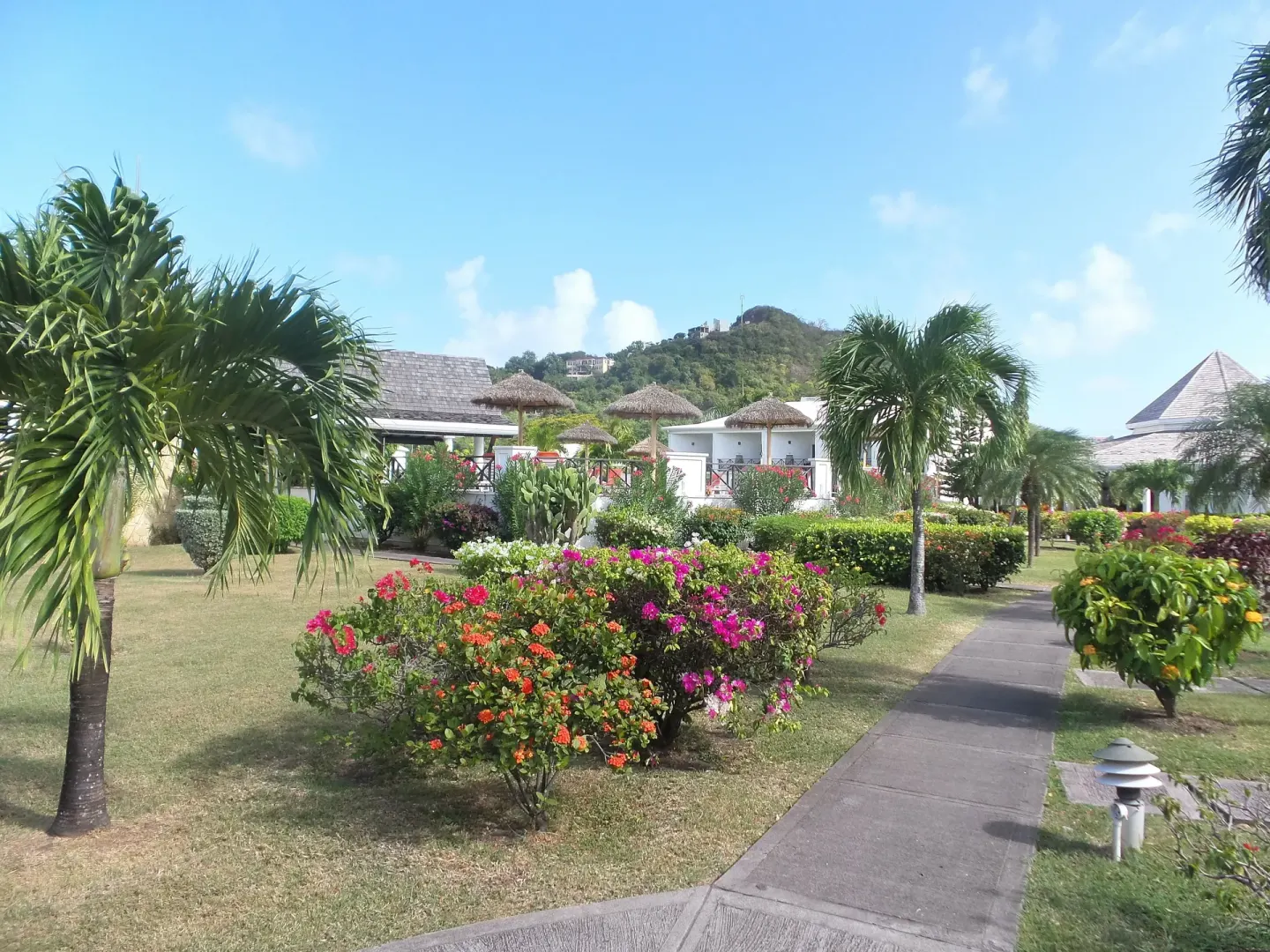 Flowering garden path with palms and hillside beyond at Coyaba Beach Resort.