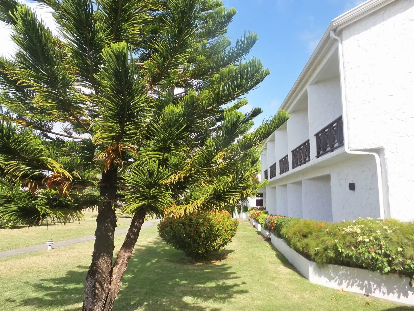 White resort building beside a manicured lawn and evergreen tree at Coyaba Beach Resort.
