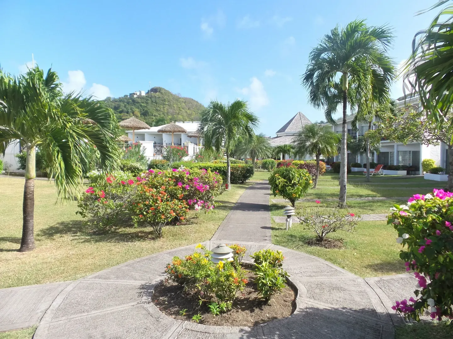 Garden walkway with palms and flowering shrubs at Coyaba Beach Resort.