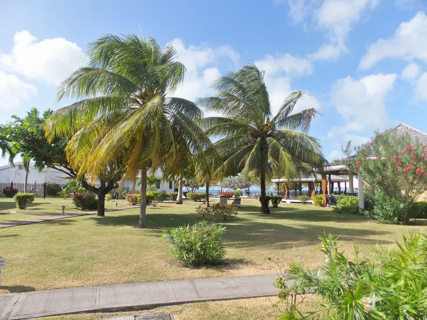 Palm lawn with resort buildings and a glimpse of the sea at Coyaba Beach Resort.