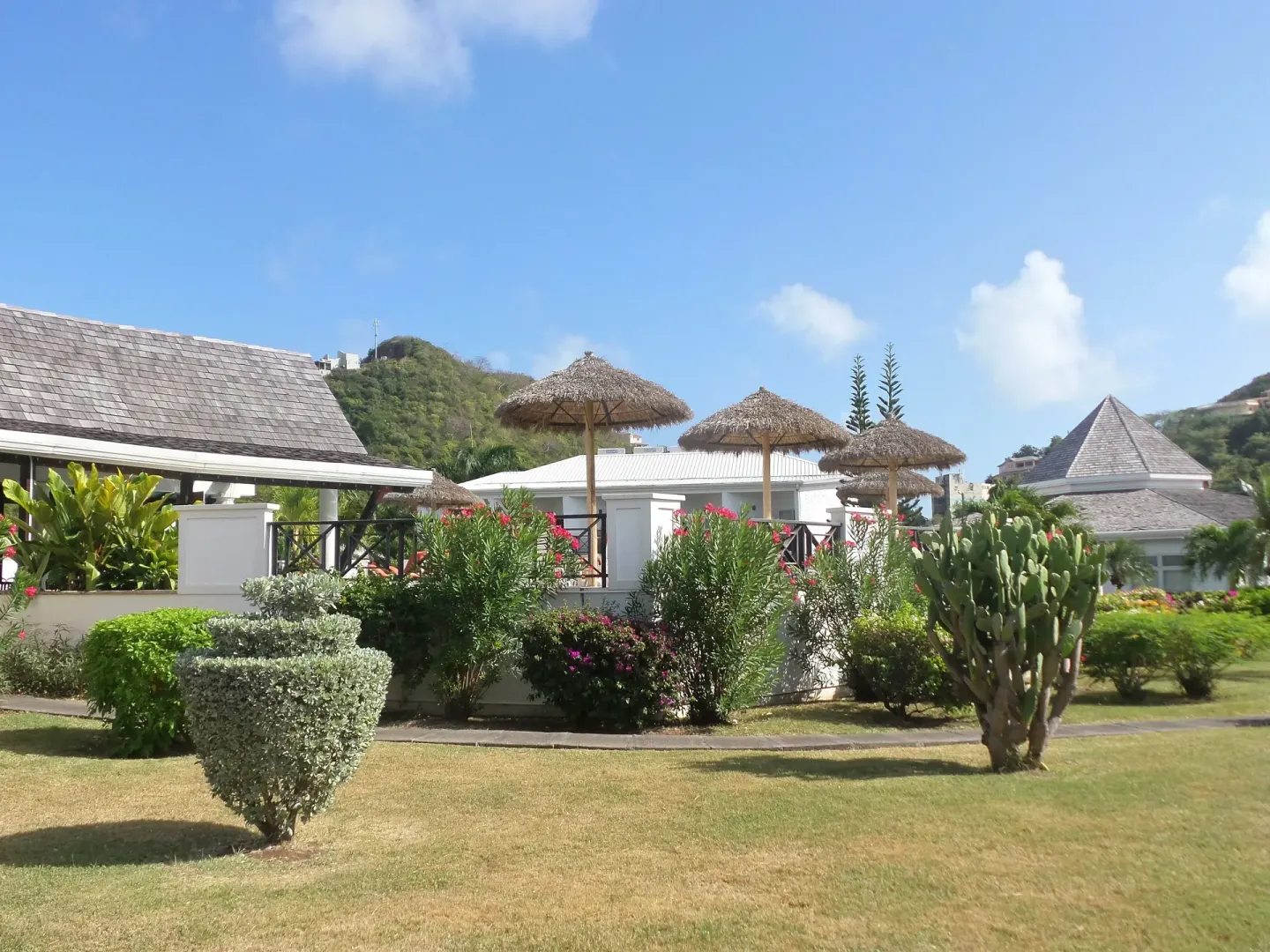Landscaped resort grounds with thatched umbrellas, shrubs and hills at Coyaba Beach Resort.