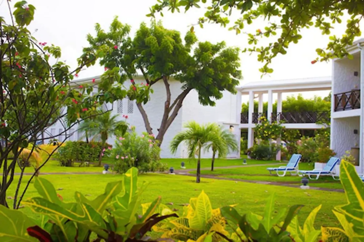 Superior Room garden view with lawns, palms and guest-room balconies at Coyaba Beach Resort.