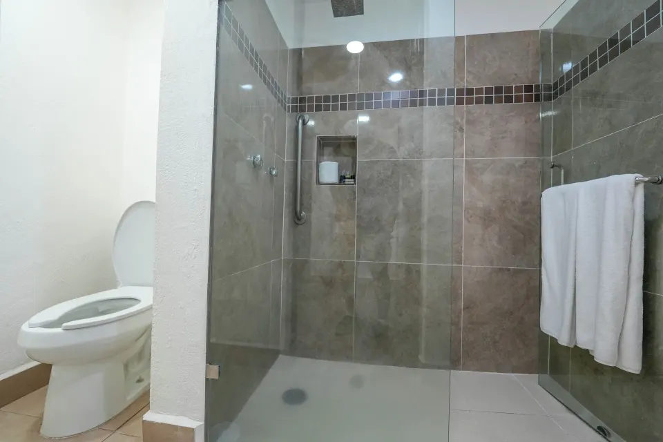 Glass-enclosed tiled shower and toilet in a guest room bathroom at Cozumel Hotel & Resort