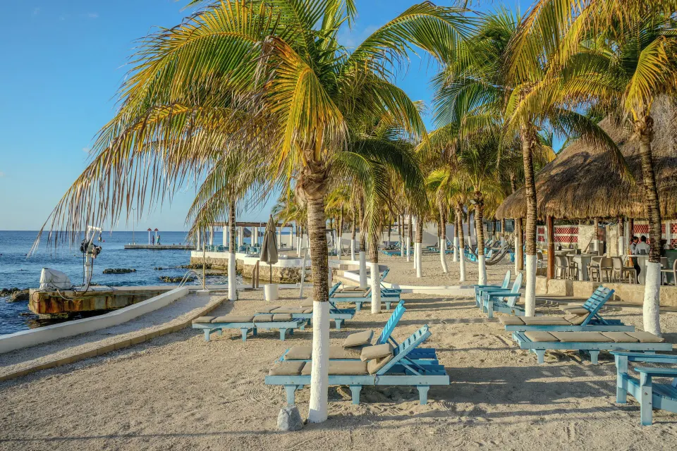 Palm-lined beach with multiple lounge chairs and shaded areas at Cozumel Hotel & Resort.