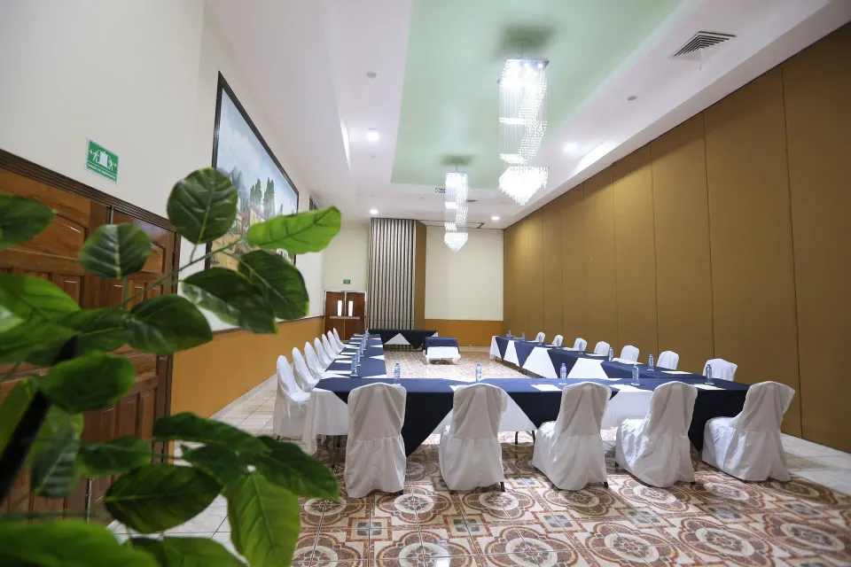 U-shaped meeting tables with a decorative plant in the foreground at Cozumel Hotel & Resort