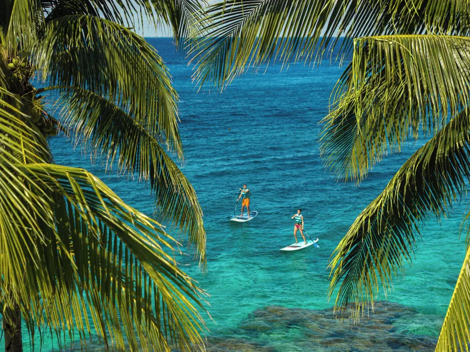 Stand-up paddleboarders on clear turquoise water framed by palms at Cozumel Palace