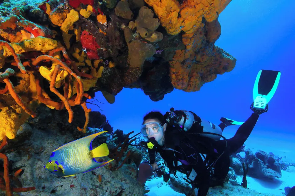 Scuba diver exploring colorful coral reef near Cozumel Palace