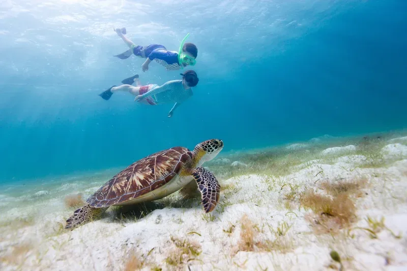 St John Eco Hike And Snorkel Adventure 1 Min Walk