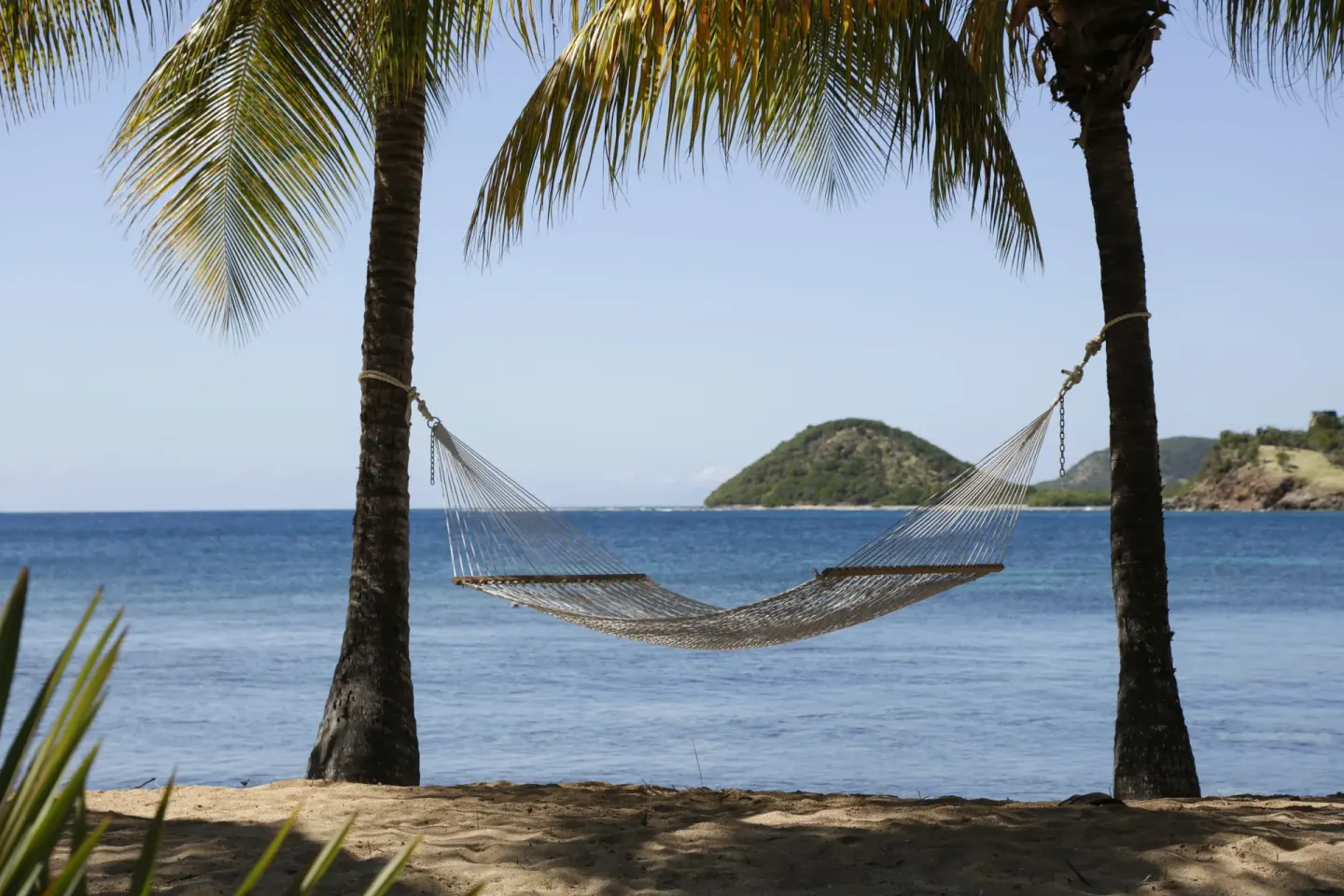 A hammock hangs between palm trees on the beach at Curtain Bluff Resort.