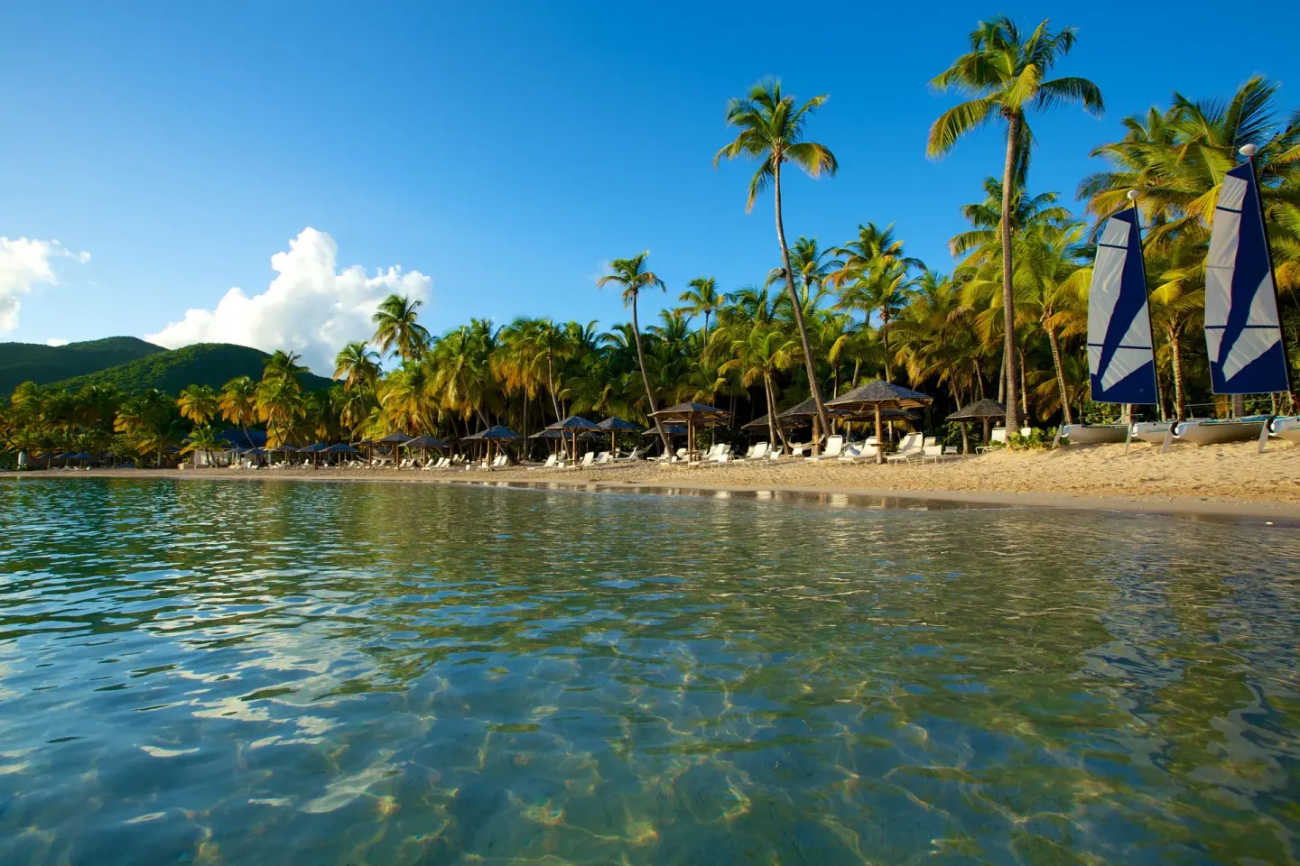 Palm-lined beach with loungers, sailboats, and calm water at Curtain Bluff Resort.