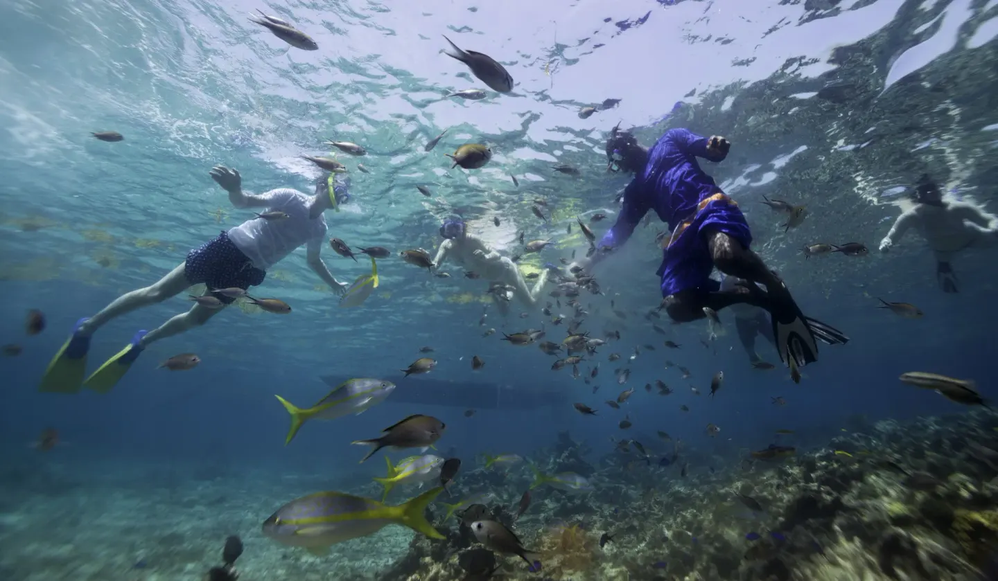 Snorkelers swim among tropical fish in clear water at Curtain Bluff Resort.