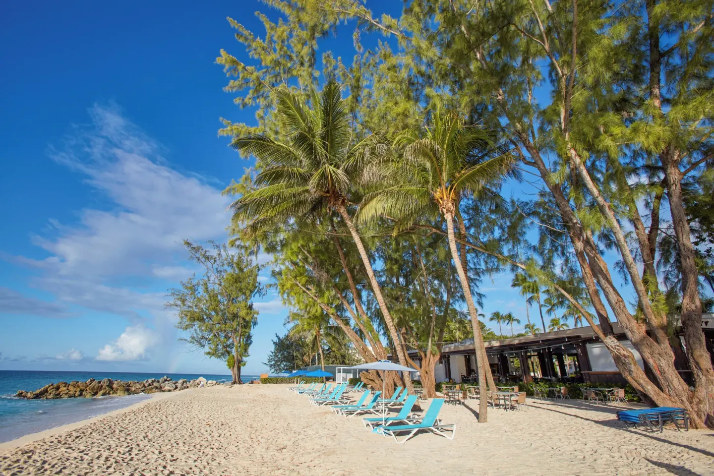 Beach loungers under palms on the sand at Divi Southwinds Beach Resort.