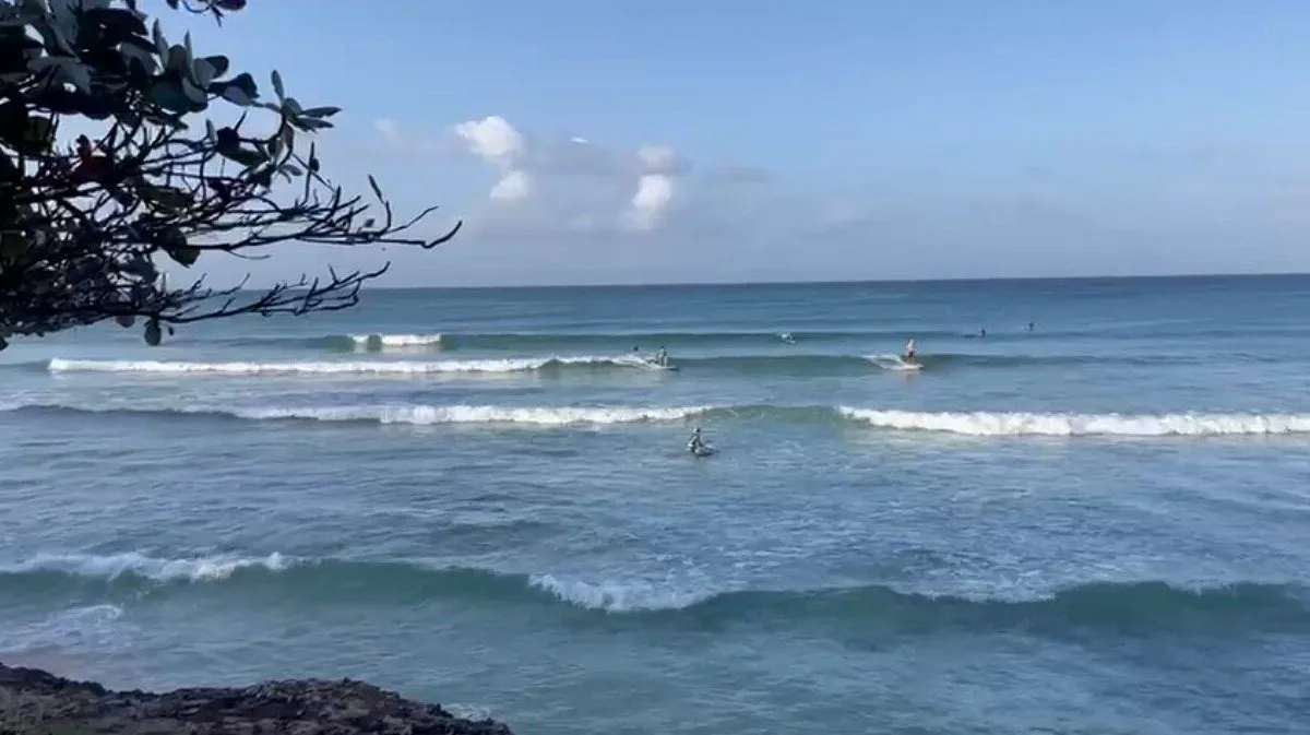 Barry S Surf Barbados Surf School 15 Min Walk