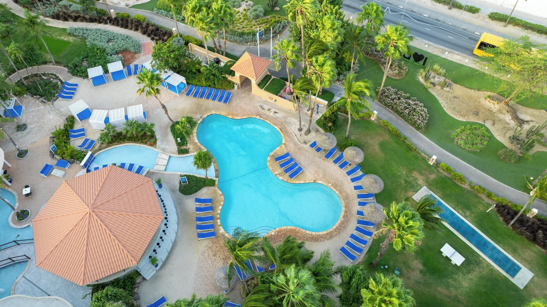 Overhead view of pool, palms, and lounge chairs at Divi Village Golf & Beach Resort.