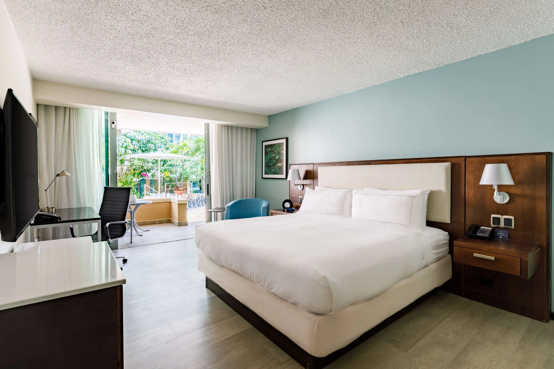 Deluxe balcony guest room with one bed, desk, TV, and patio view at DoubleTree San Juan.
