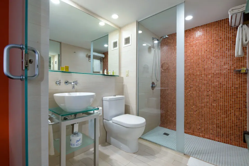 Bathroom with vessel sink, toilet, and glass shower in a Deluxe room at DoubleTree San Juan.
