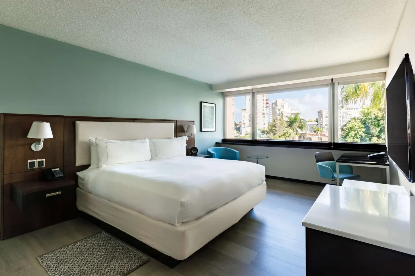 Deluxe garden view room with king bed and large window at DoubleTree San Juan.