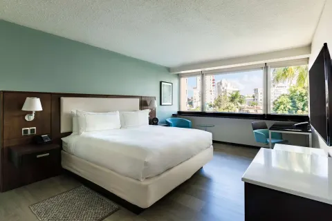 Deluxe garden view room with king bed and large window at DoubleTree San Juan.