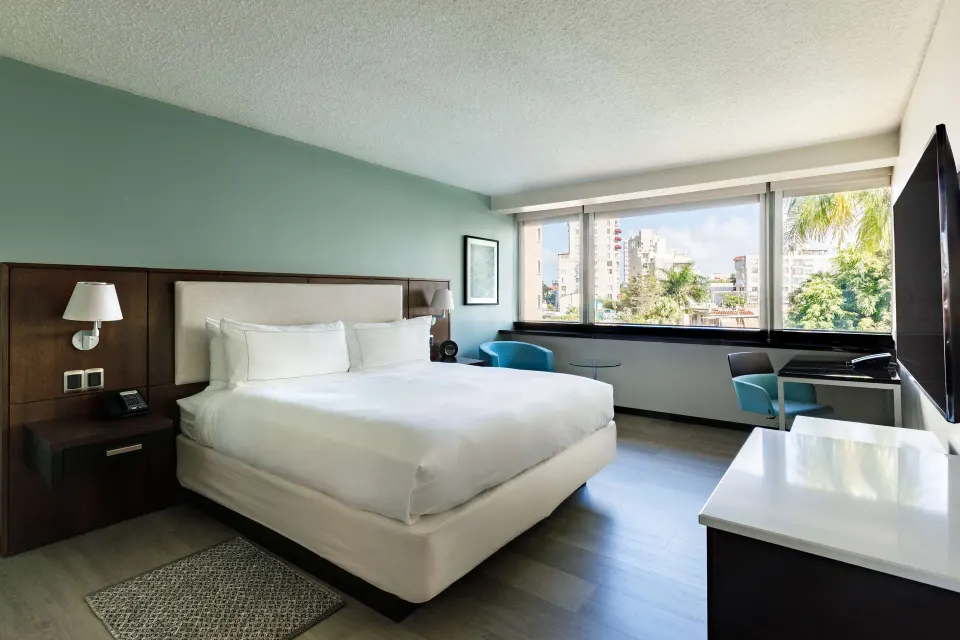 Deluxe garden view room with king bed and large window at DoubleTree San Juan.