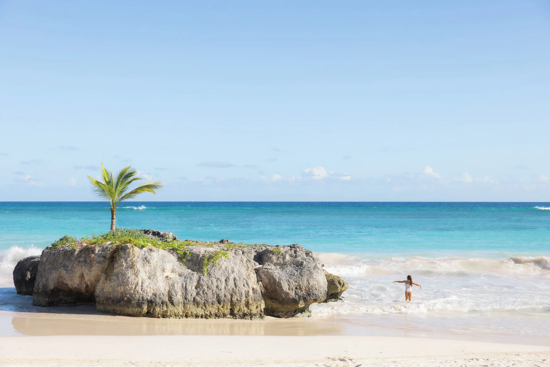 Rocky beach outcrop with a small palm and turquoise sea at Eden Roc Cap Cana.