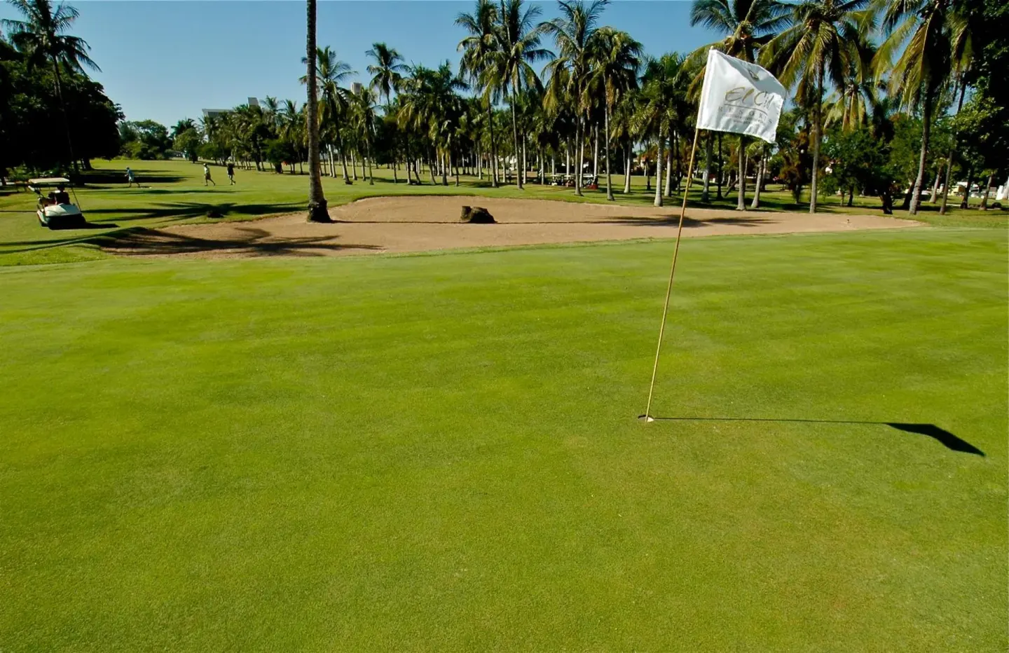 Golf green with flag, sand bunker, and palms near El Cid Granada Hotel.