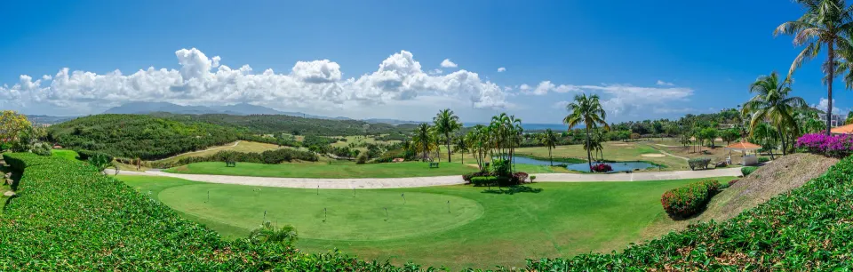 Panoramic golf course fairway and palms at El Conquistador Resort.
