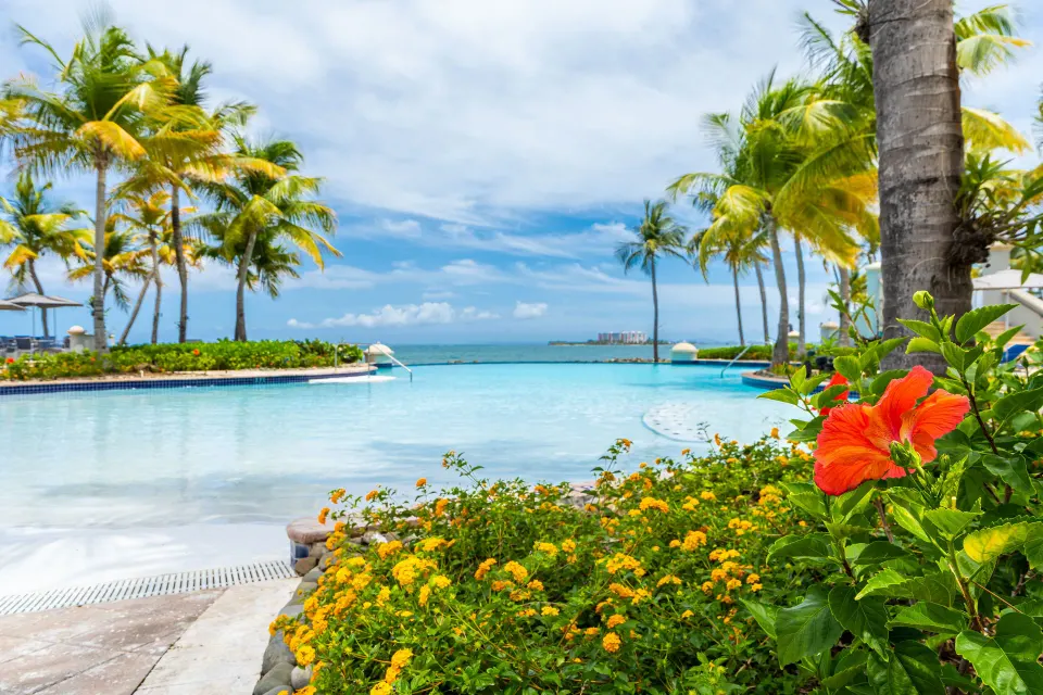 Lagoon-style pool framed by palms and flowers at El Conquistador Resort.