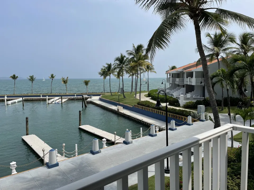 Marina slips, palms, and waterfront buildings at El Conquistador Resort.