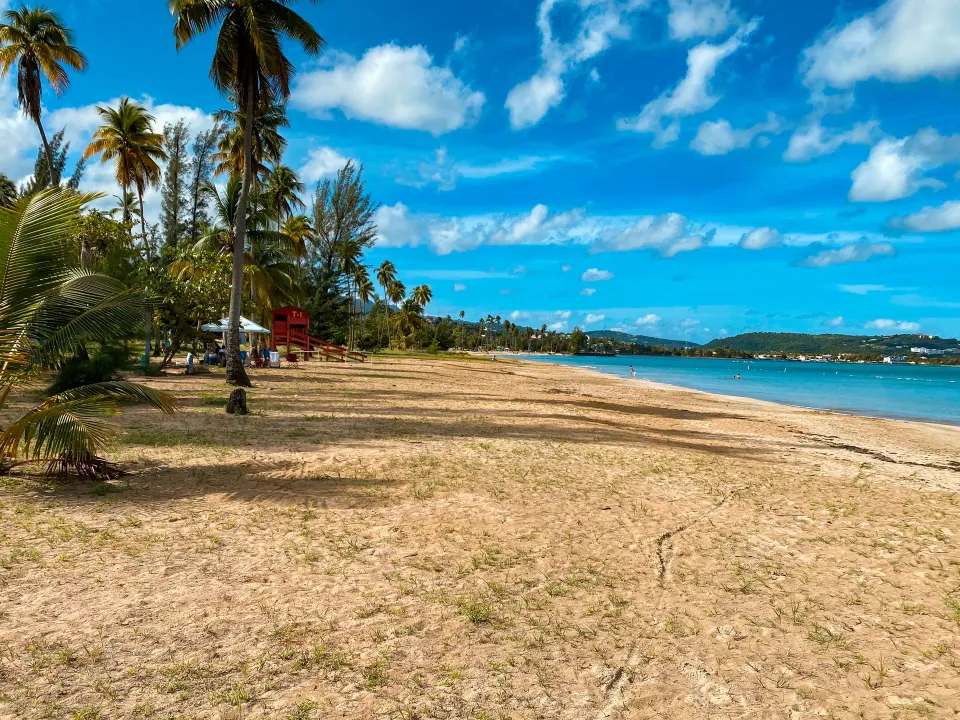 Palm-lined beach and turquoise water at El Conquistador Resort.