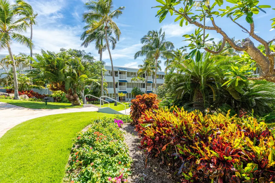 Tropical garden walkway and resort buildings at El Conquistador Resort.