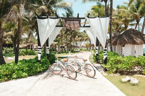 Palm-lined resort entrance with bicycles and welcome sign at El Dorado Casitas Royale.