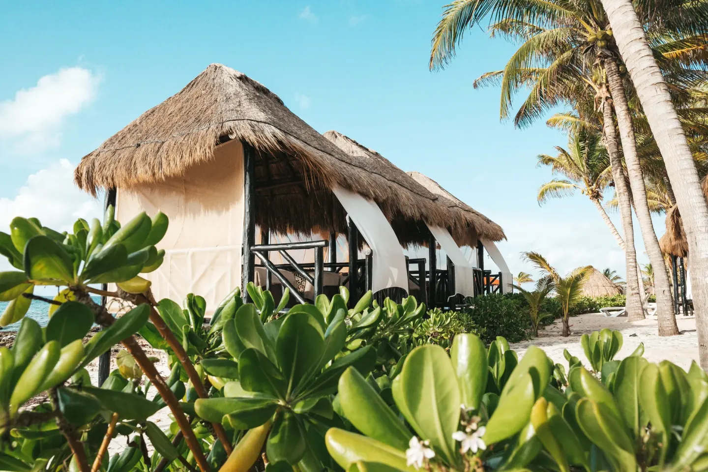Thatched beach cabanas line the sand beneath palms at El Dorado Casitas Royale.