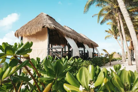 Thatched beach cabanas line the sand beneath palms at El Dorado Casitas Royale.