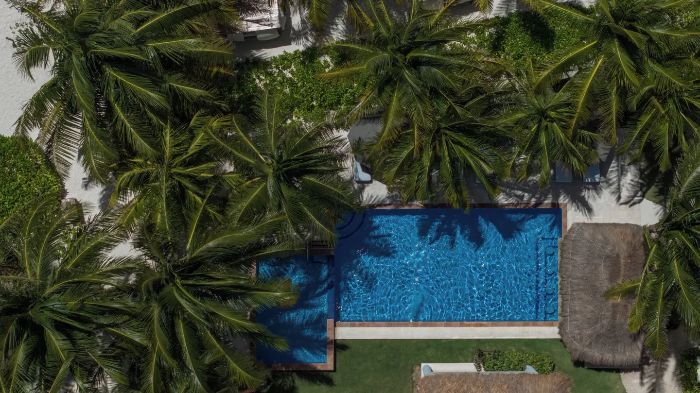 An aerial view shows a small pool among palms at El Dorado Maroma Cenote, Underground Expedition.