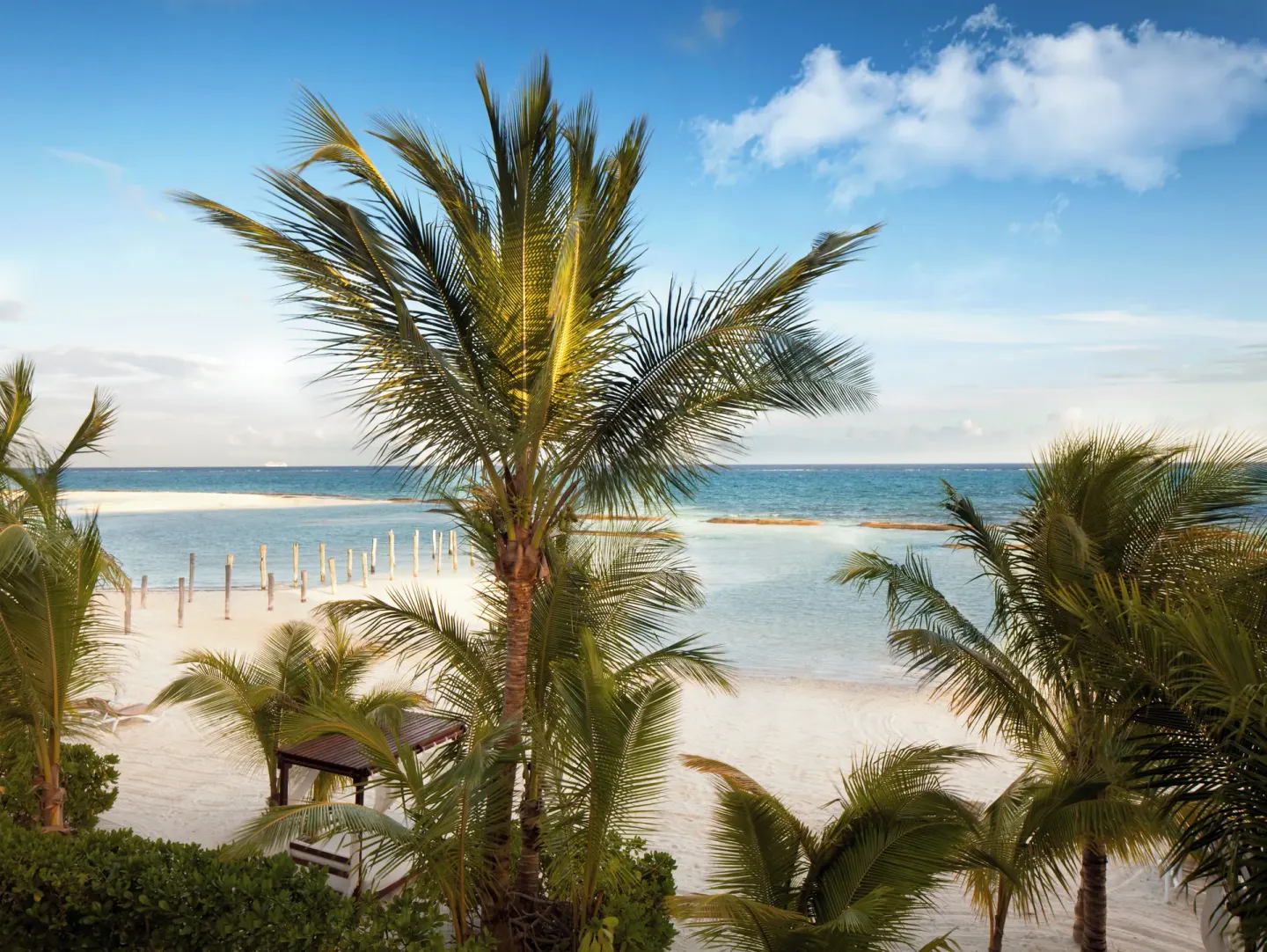Palm trees frame the beach and ocean at El Dorado Maroma Cenote, Underground Expedition.