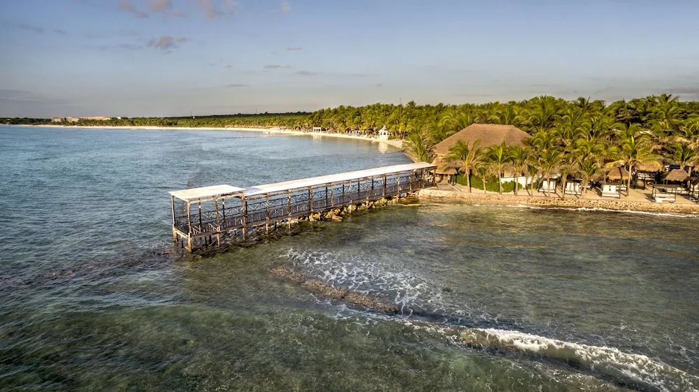 Low-altitude view of the coastline with a wooden pier and beachfront palms at El Dorado Seaside Suites