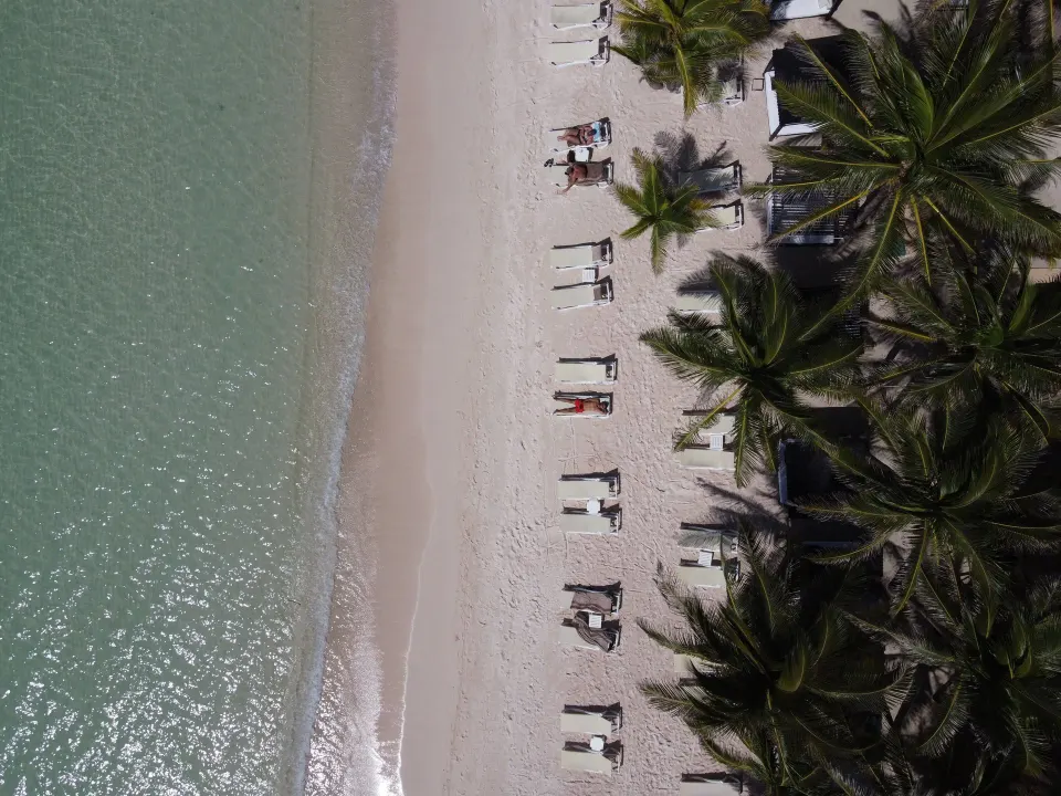 Top-down view of beach chairs and palms along the shoreline at El Dorado Seaside Suites